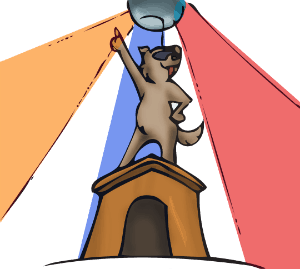 My Dog Likes to Disco