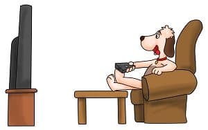 my-dog-lives-on-the-sofa