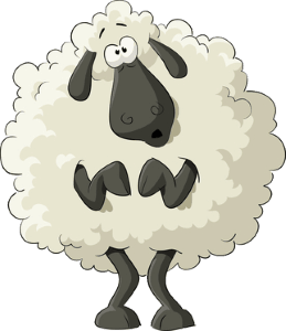 my-sheep-is-being-sheepish