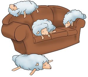 a-sheep-is-asleep-on-my-sofa